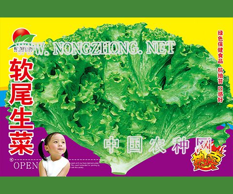软尾生菜